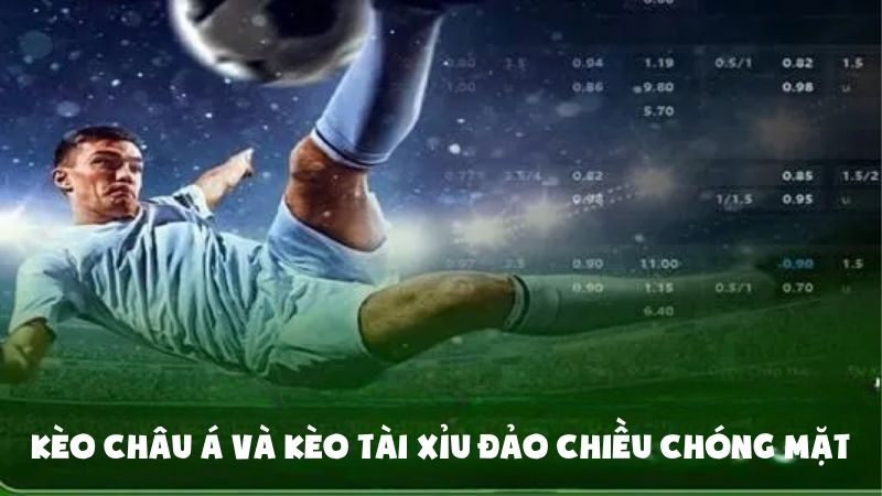VFC Giải Mã Chiến Thuật 0 Hậu Vệ: Góc Nhìn Mới Trang Cá Cược