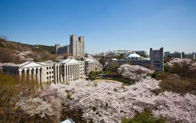Điều kiện để du học Hàn Quốc 2018 gồm những gi?