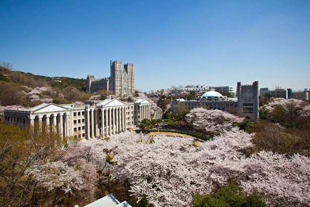 Điều kiện để du học Hàn Quốc 2018 gồm những gi?