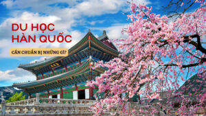 Độ tuổi du học Hàn Quốc