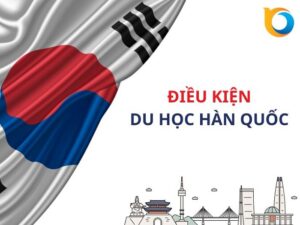 Năng lực ngoại ngữ và điểm GPA đóng vai trò quyết định khi xét tuyển hệ cao học.