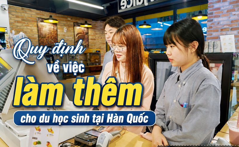 Du học sinh cần đáp ứng đầy đủ các điều kiện về thời gian cư trú và năng lực tiếng Hàn trước khi xin việc.